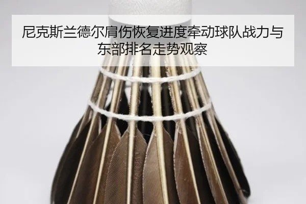 尼克斯兰德尔肩伤恢复进度牵动球队战力与东部排名走势观察