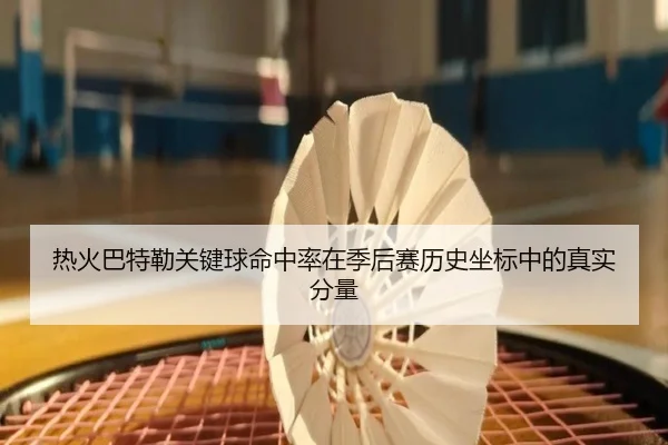 热火巴特勒关键球命中率在季后赛历史坐标中的真实分量