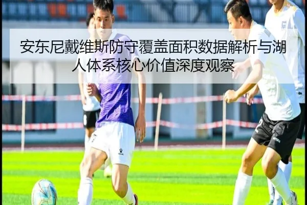 安东尼戴维斯防守覆盖面积数据解析与湖人体系核心价值深度观察