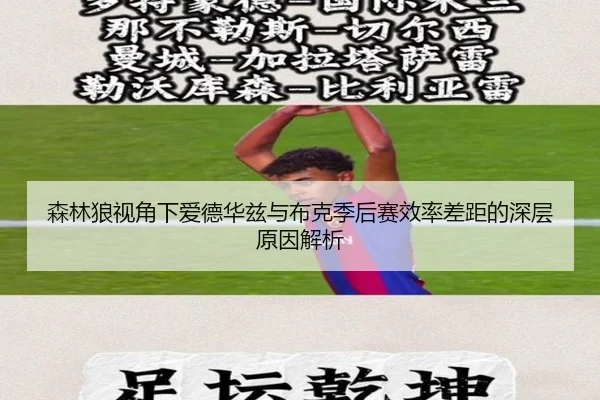 森林狼视角下爱德华兹与布克季后赛效率差距的深层原因解析